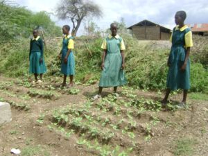 Read more about the article “It is the little things that citizens do that will make the difference. My little thing is planting trees” By Prof. Wangari Maathai.